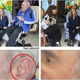 Illustration for article titled The AP Deleted Fidel Castro Images Photoshopped to Remove a Hearing Aid
